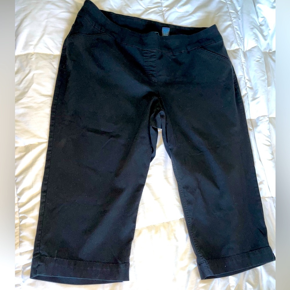 Westbound Woman Black Stretch Capri Pants Size 20W